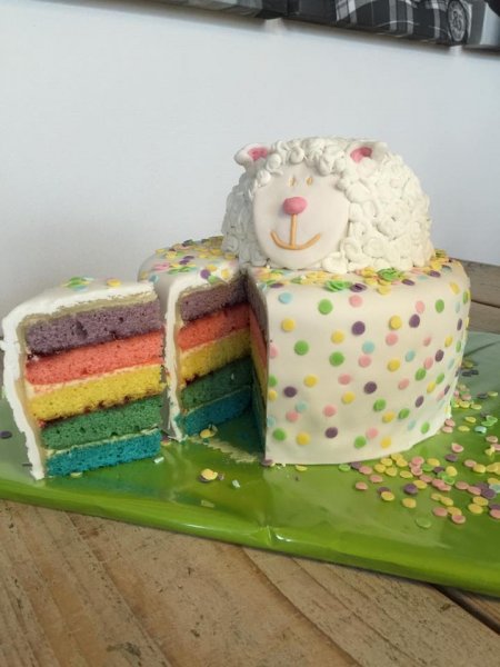regenboog cake